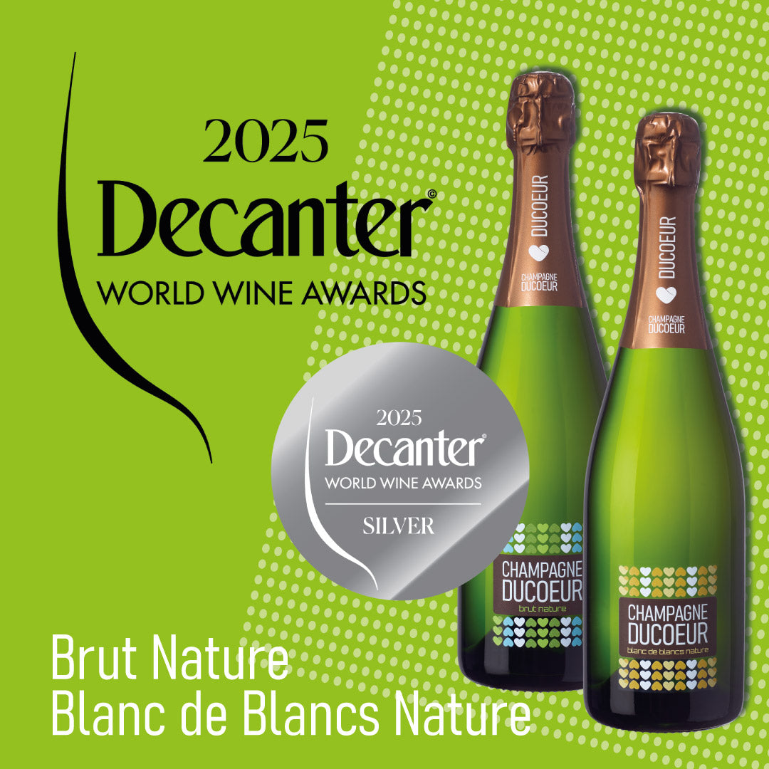 Decanter World Wine Awards 2025 - 2 times Silver